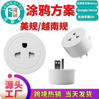 龍斯普 小越南規(guī) 美規(guī)規(guī)可用 易微聯(lián)涂鴉跨境貨源 WiFi智能插座