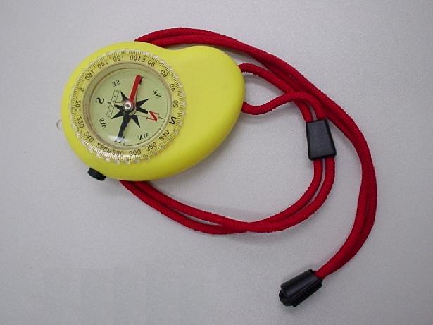 Compass - 1016 - Easy International Trade